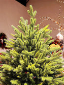 Árvore de Natal Pinheiro Realista New York – [EDIÇÃO LUXO + BRINDE EXCLUSIVO]
